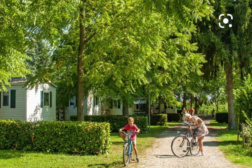 Location Mh Situee A 15 Mn D Europa Park Et Rulantika Boofzheim Exterior foto