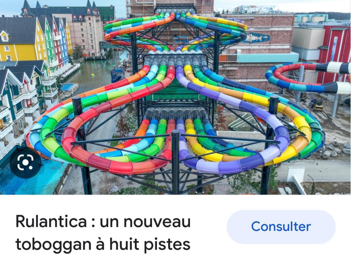 Location Mh Situee A 15 Mn D Europa Park Et Rulantika Boofzheim Exterior foto